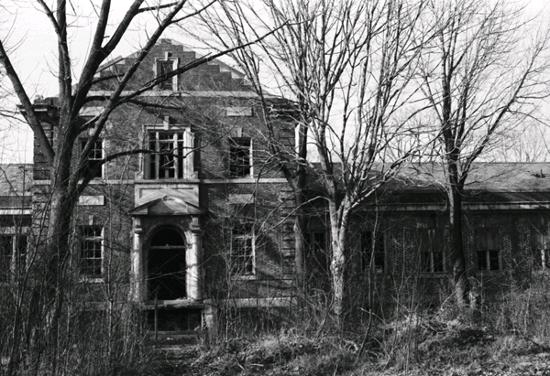 E389.JPG