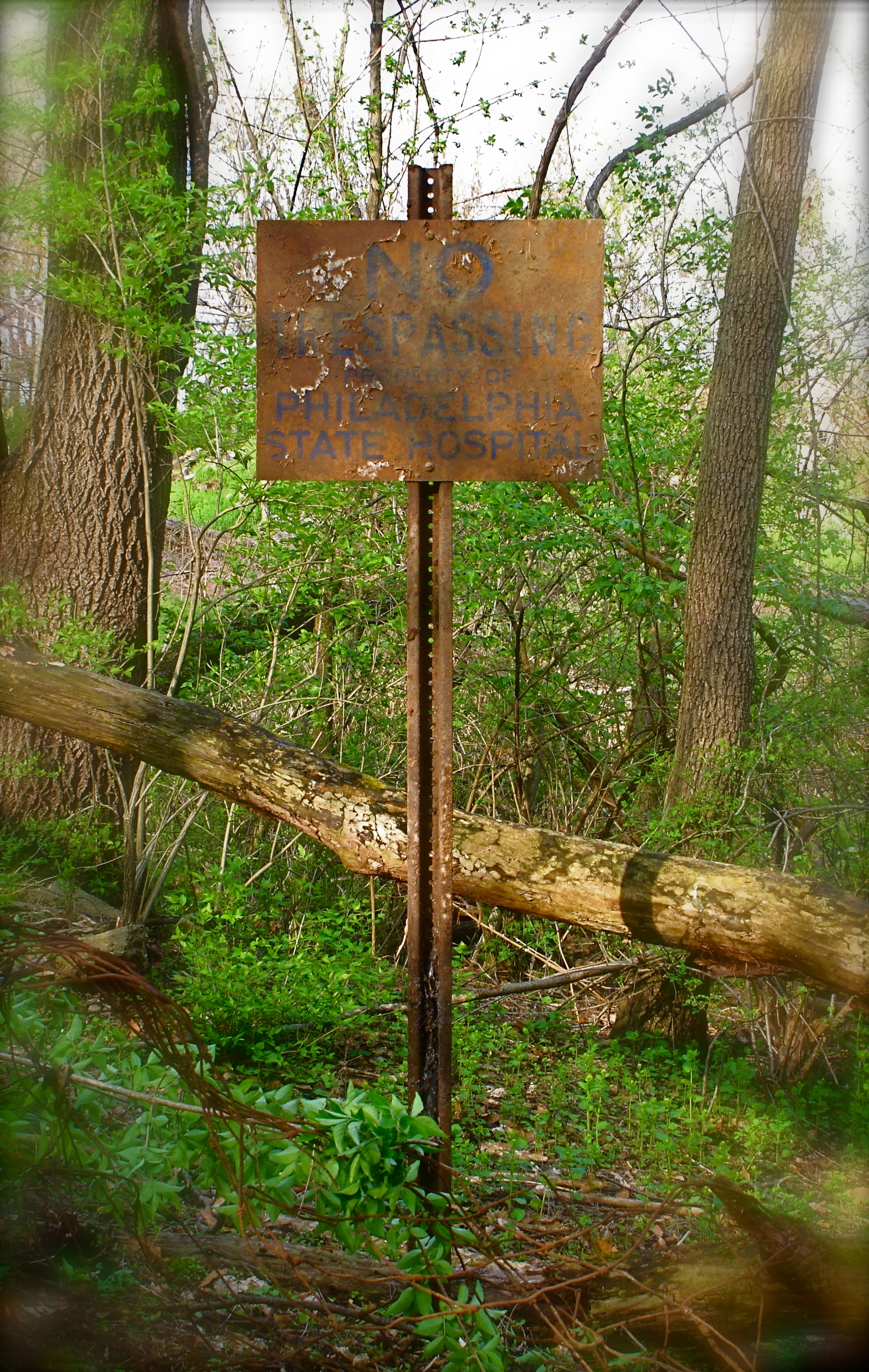 pshsign20111.jpg